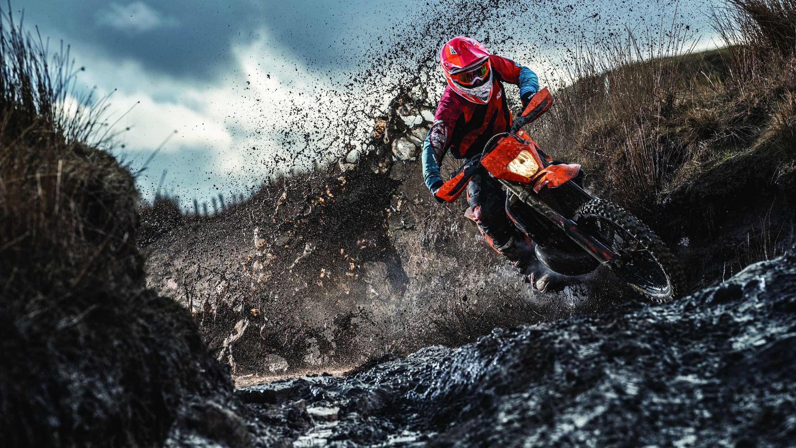 _全民趣味拉丁舞:动感节奏引爆全民热潮_,趣味拉丁舞教学